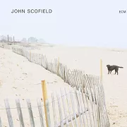 SCOFIELD, JOHN - ELECTRIC GUITAR AND LOOPER  LP