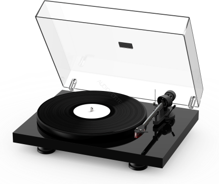 PRO-JECT DEBUT CARBON EVO DC (2M RED) / WYPRZEDAŻ