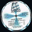 Wonder, Stevie ‎– Songs In The Key Of Life, 2LP, KOMIS, - 4