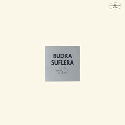 Budka Suflera, Cień Wielkiej Góry, LP, KOMIS, Polskie Nagrania SX1264