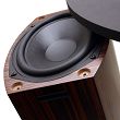 AUDIUM COMP 5.2 PASSIVE - wild cherry - 3
