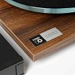 REGA Planar 3 50th Anniversary Edition - gramofon analogowy - 7