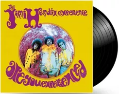 SONY MUSIC - THE JIMI HENDRIX EXPERIENCE: ARE YOU EXPERIENCED